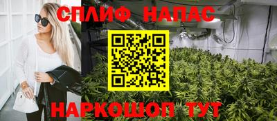 сатива Обнинск