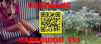 сатива Обнинск