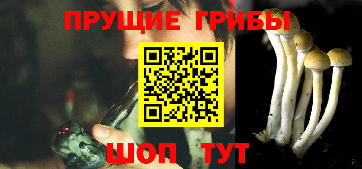 Псилоцибиновые грибы Magic Shrooms Серов