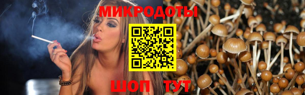 Серов  Галлюциногенные грибы Psilocybine cubensis  Вход с VPN 